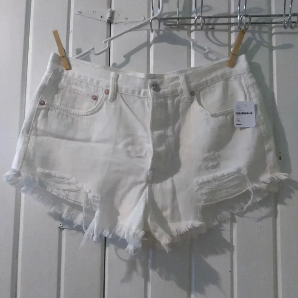 We the free free people shorts-size 30 NWT